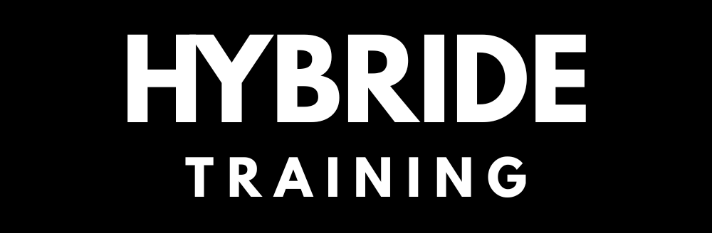 HYBRIDE Training